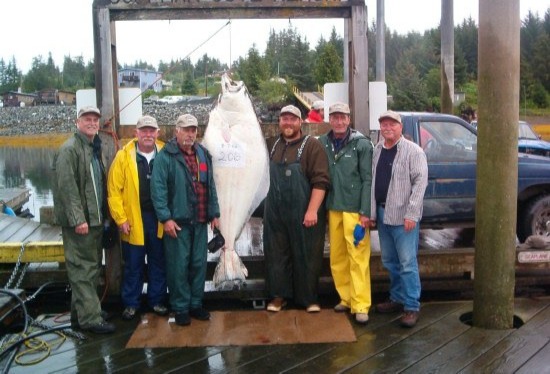 Crew posing with a huge halibut hung on the Coffman Cove dock